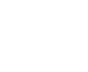 Nobel Builders - White Logo